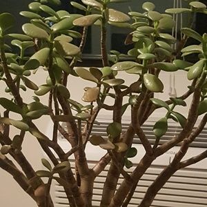 Meet your Posher, Nichole