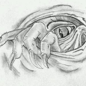 Meet your Posher, Javan