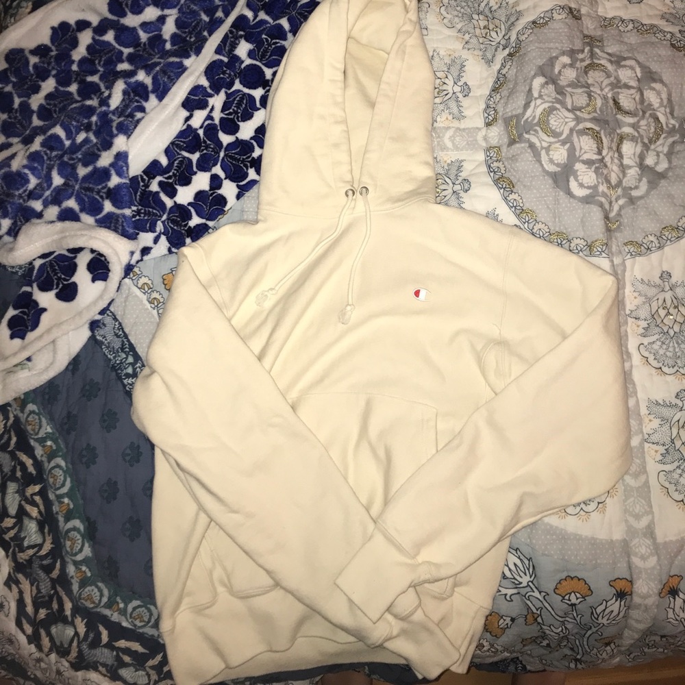 Urban Outfitters Champion Sweatshirt