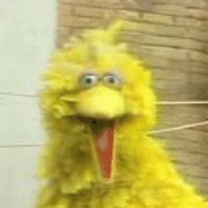 Meet your Posher, Grayson