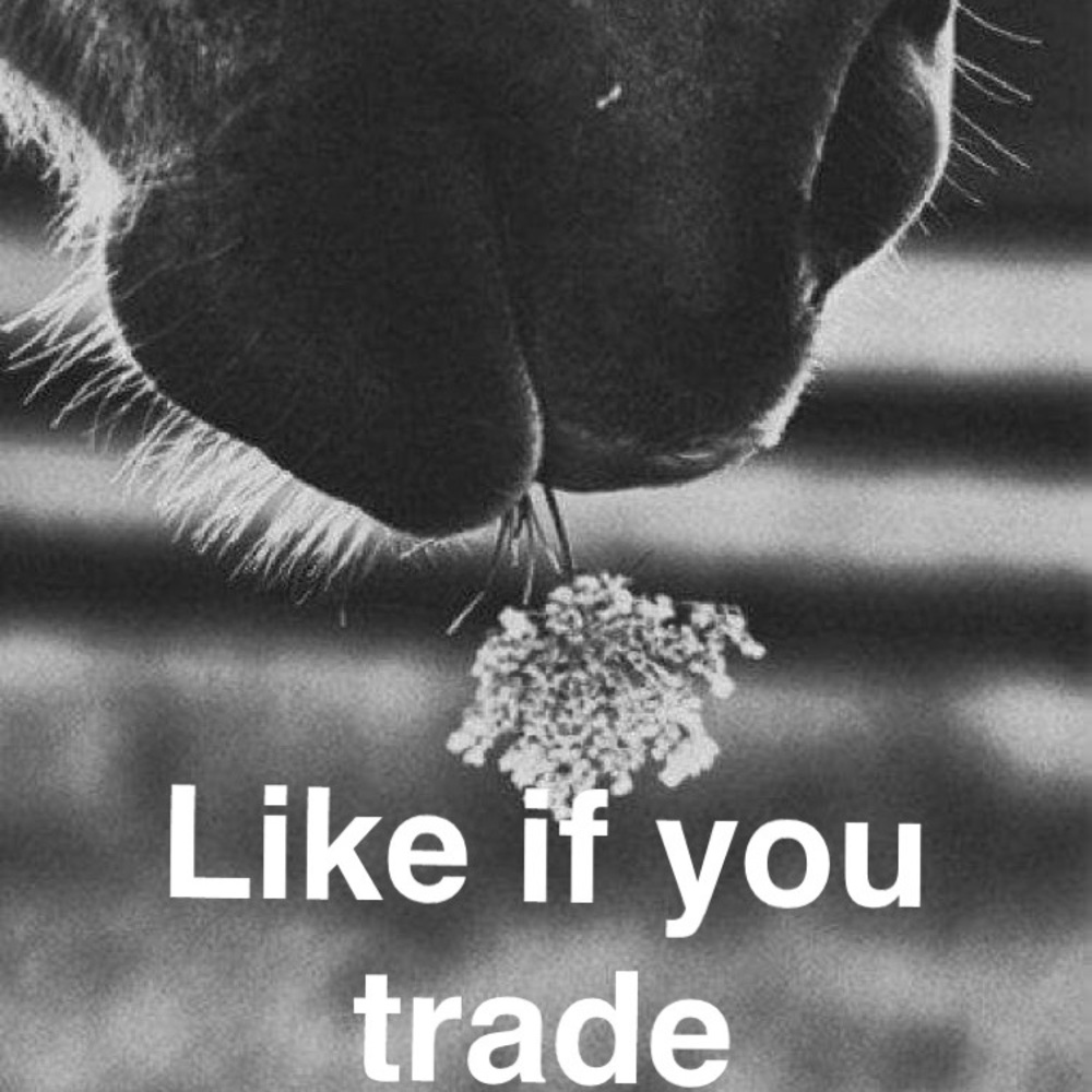 I love trading ☺️