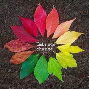 Meet your Posher, Lyric