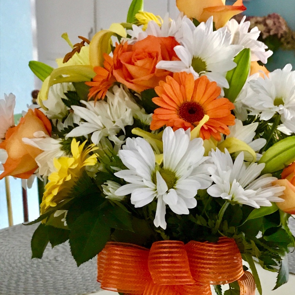 Meet your Posher, Lynn