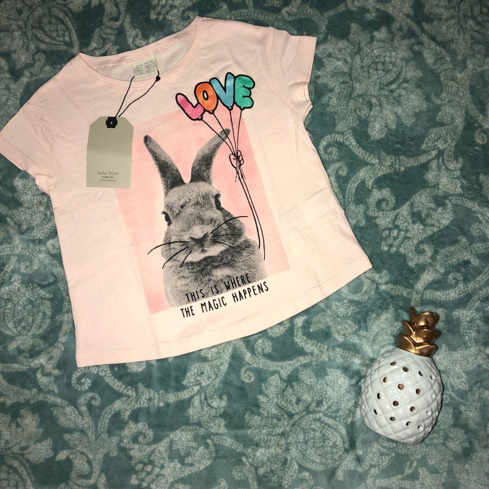 Zara little girl T-shirt
