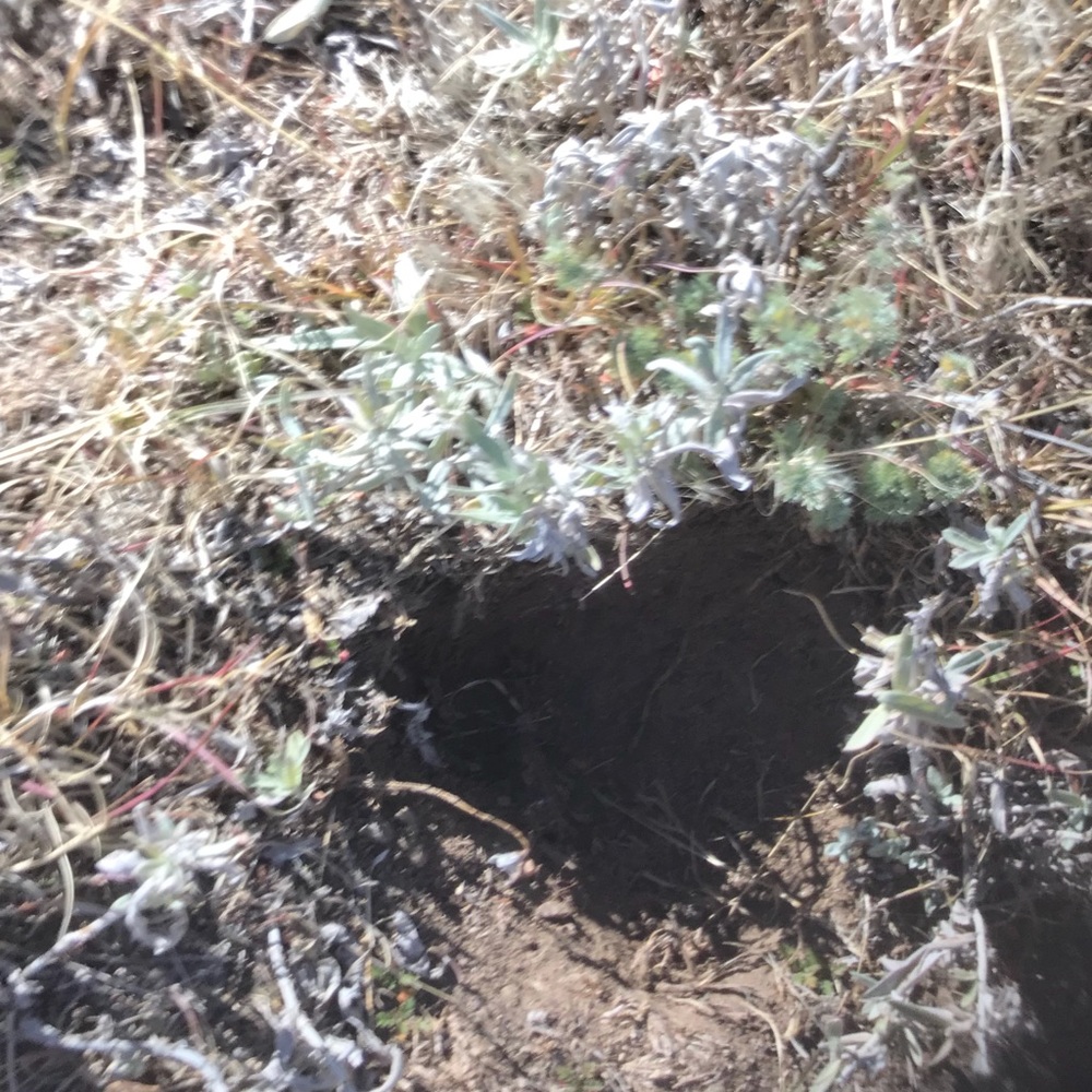 Meet your Posher, Ma