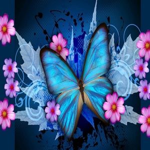 Meet your Posher, Mandi