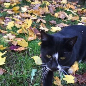 Meet your Posher, Jen