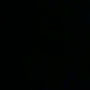 Meet your Posher, Genevieve