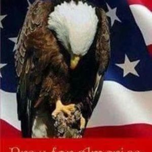 Meet your Posher, Douglas