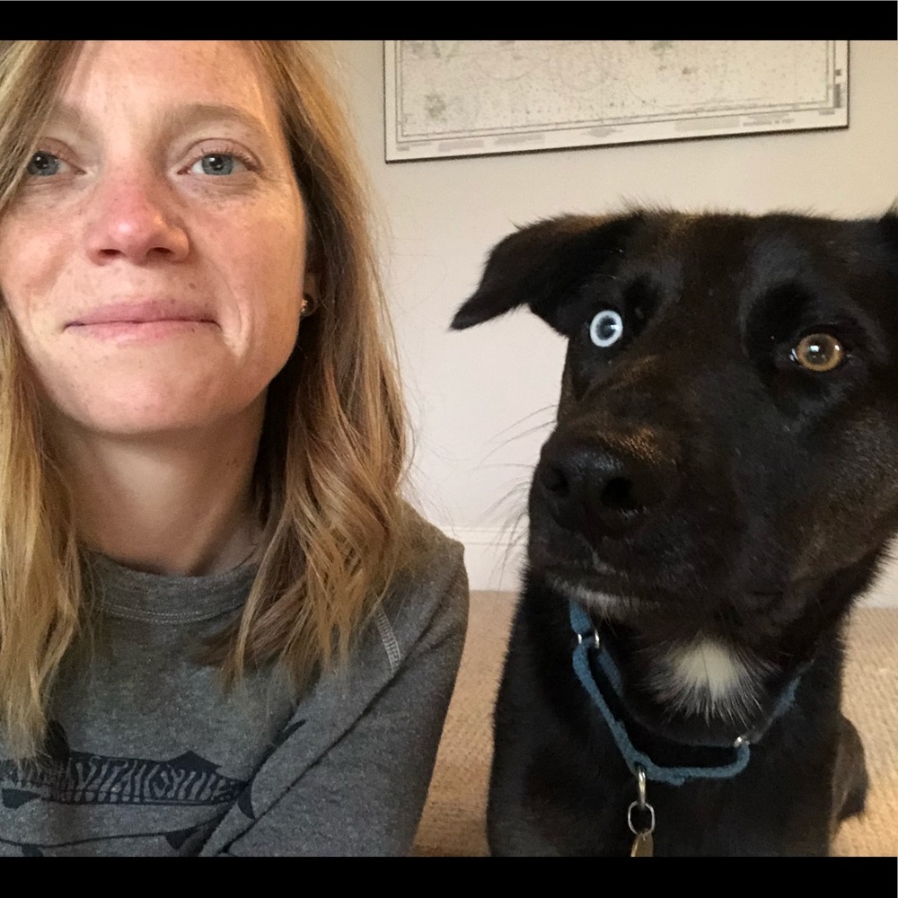 Meet your Posher, Jessie