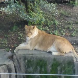 Meet your Posher, Rafael