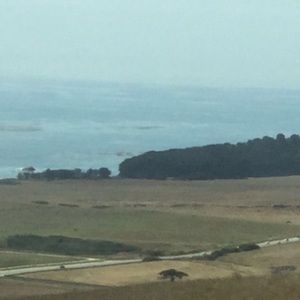 Meet your Posher, Evelyn