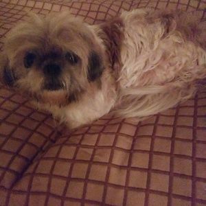 Meet your Posher, Kathy