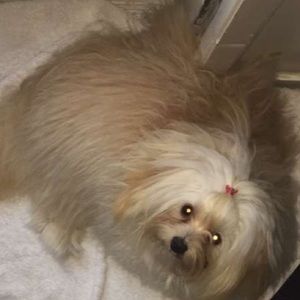 Meet your Posher, Julia