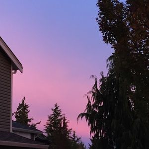 Meet your Posher, Ryleejo