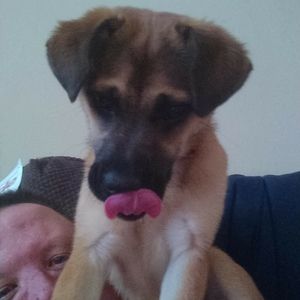 Meet your Posher, Darrell