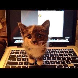 Meet your Posher, Ksenija