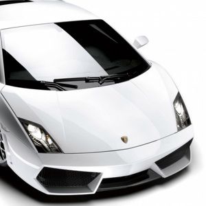 Meet your Posher, Trevor