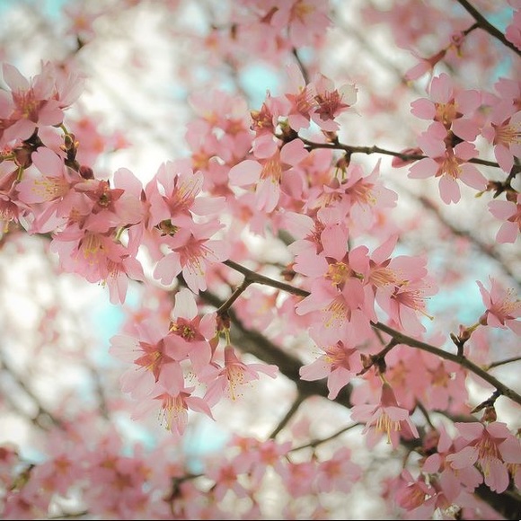 Accepting offers! - Picture 1 of 1