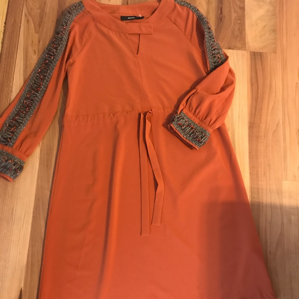 NWT fall maternity dress