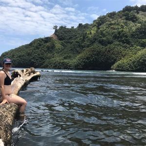 Meet your Posher, Alex