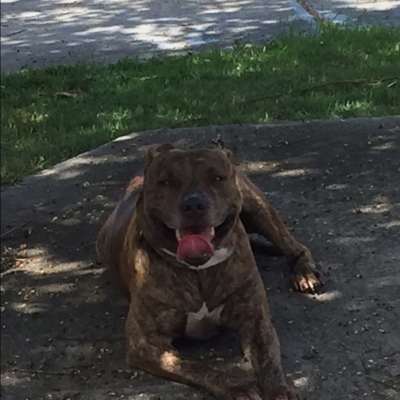 Meet your Posher, Steve - Picture 1 of 1