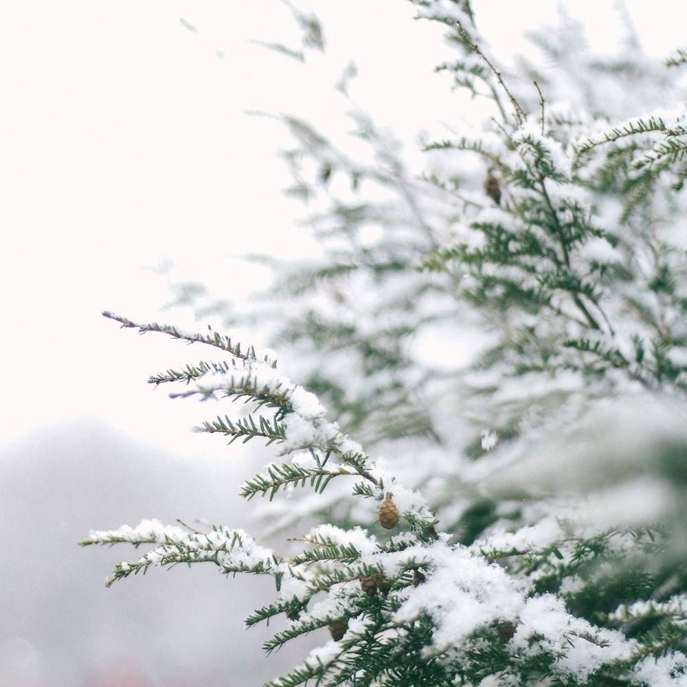 Meet your Posher, Krystal