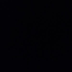 Meet your Posher, Calvin