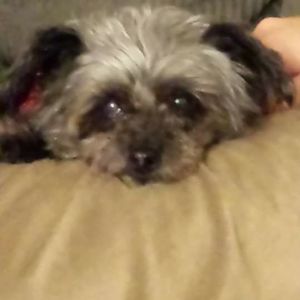 Meet your Posher, Lori