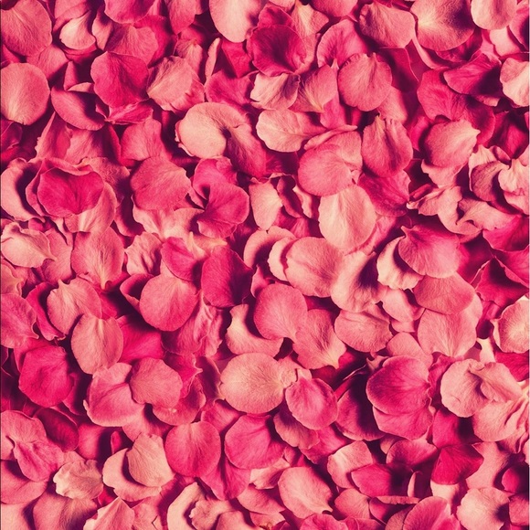 Meet your Posher, Allyse - Picture 1 of 1