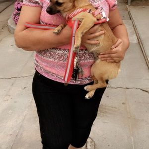 Meet your Posher, Monique