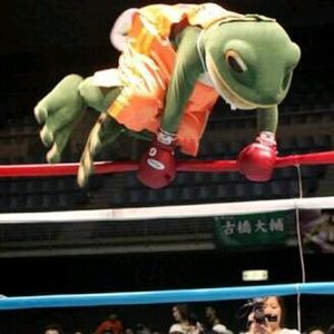 Meet your Posher, Chris