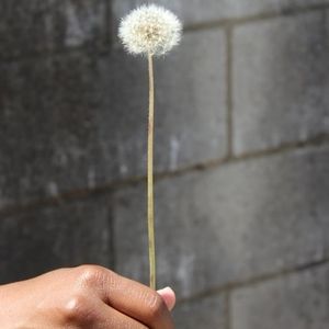 Meet your Posher, Tasha