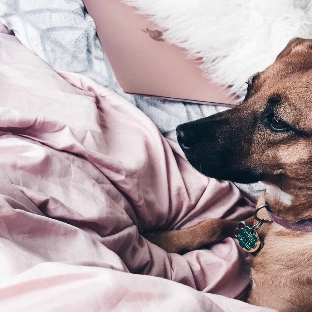 Meet your Posher, Savannah