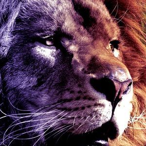 Meet your Posher, Riley