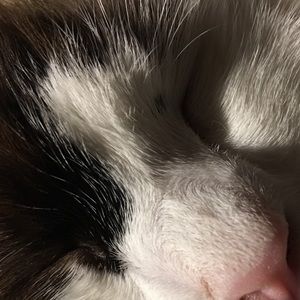 Meet your Posher, Valerie