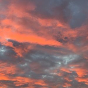 Meet your Posher, Leticia