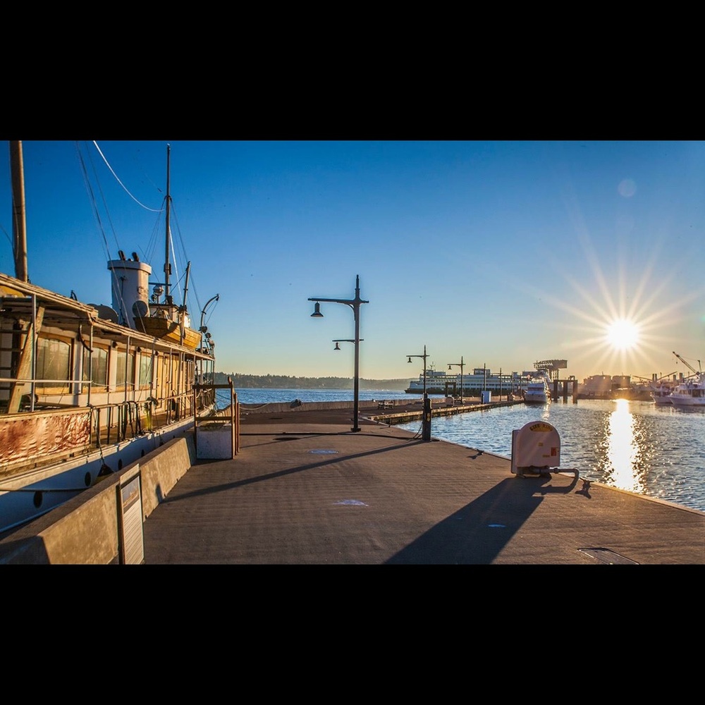 Meet your Posher, Princess ann