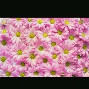 Meet your Posher, Casandra