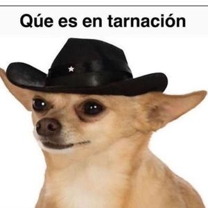 Meet your Posher, Bryan