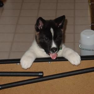 Meet your Posher, Eric