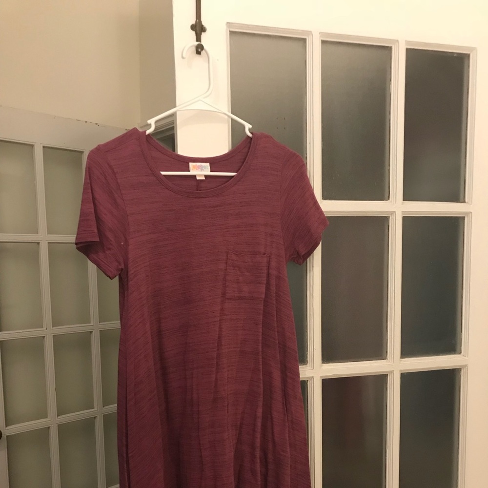 NWT Lularoe XXS Carly