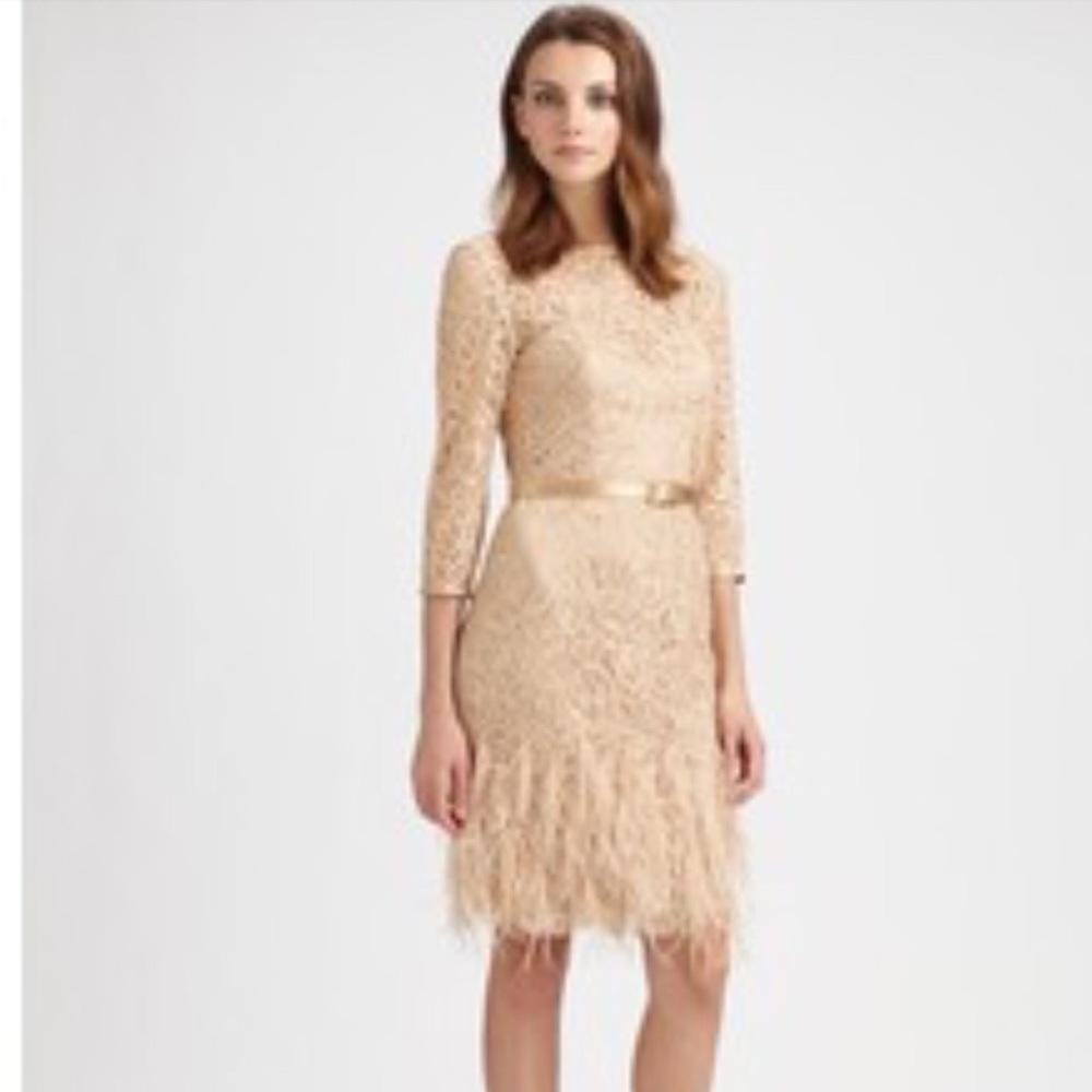 Lace Ostrich Dress
