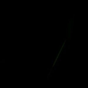 Meet your Posher, Shanaya