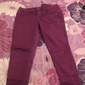 Purple women’s pants