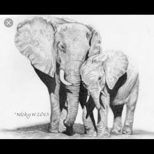 Meet your Posher, Krystal