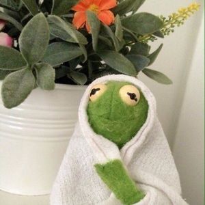 Meet your Posher, Halley