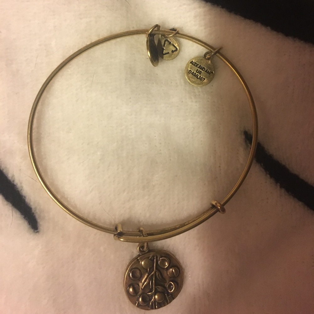 Alex and Ani bracelet