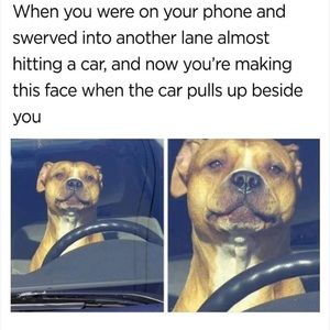 Meet your Posher, Destiny