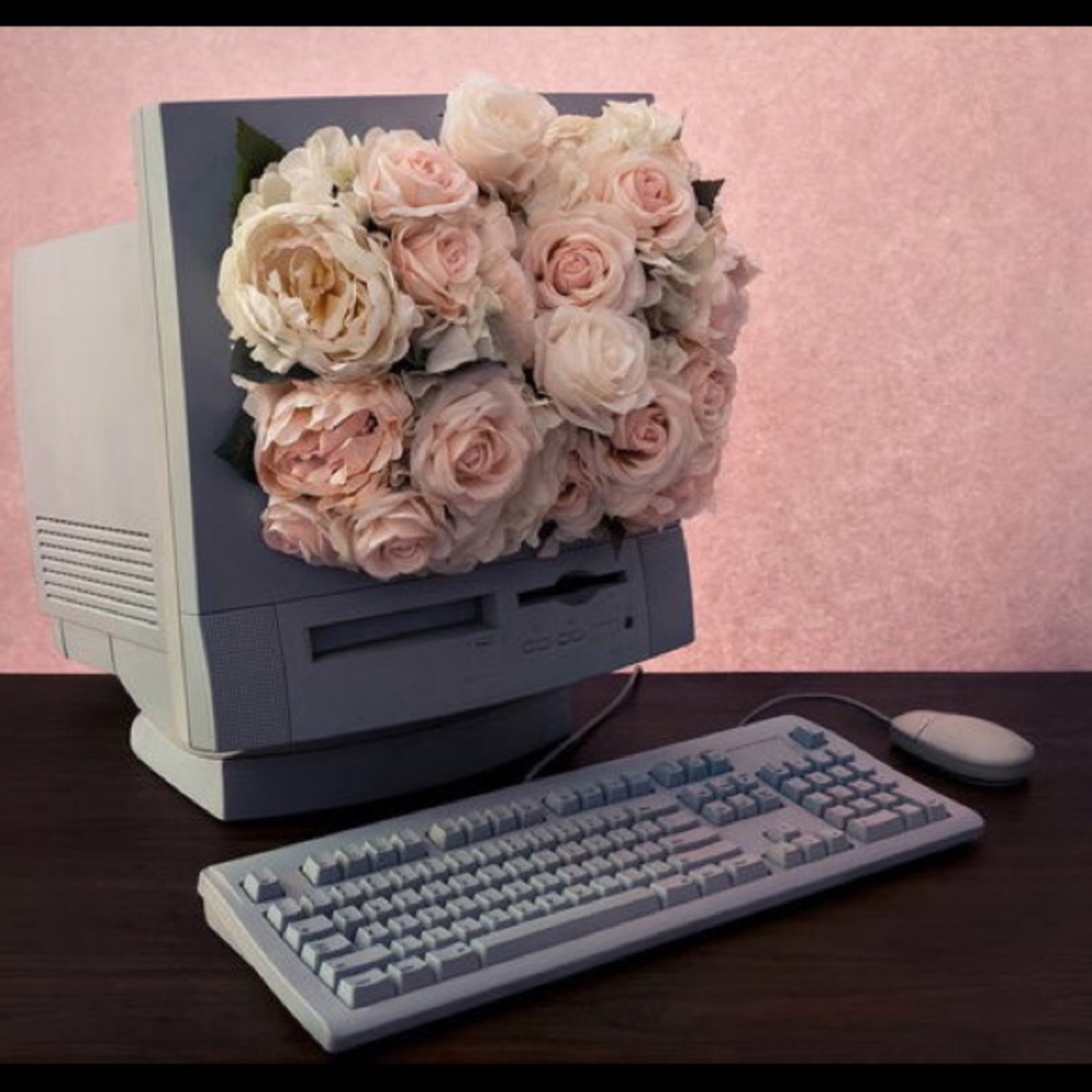 Meet your Posher, Jody